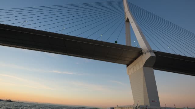 多岐にわたるプロジェクト